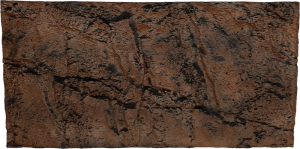 cliff bruin 60x30